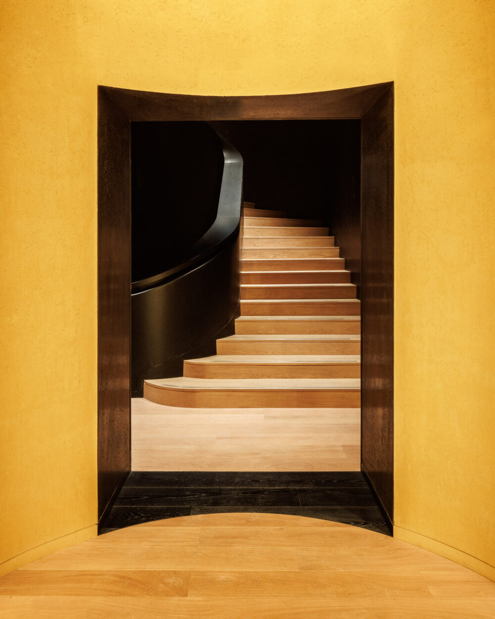 ZOI_SITE_©11h45-SITE-11