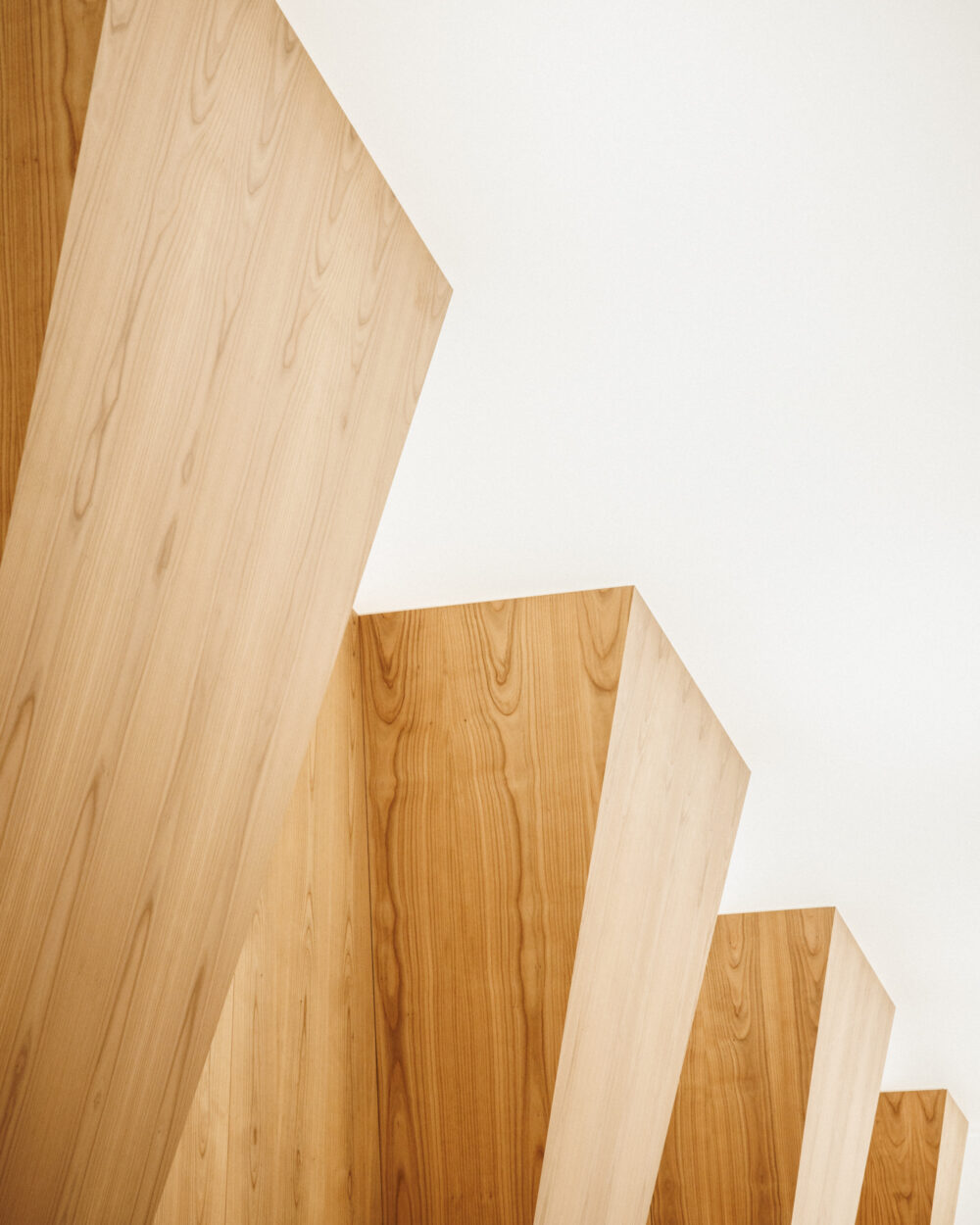 ZOI_SITE_©11h45-SITE-9