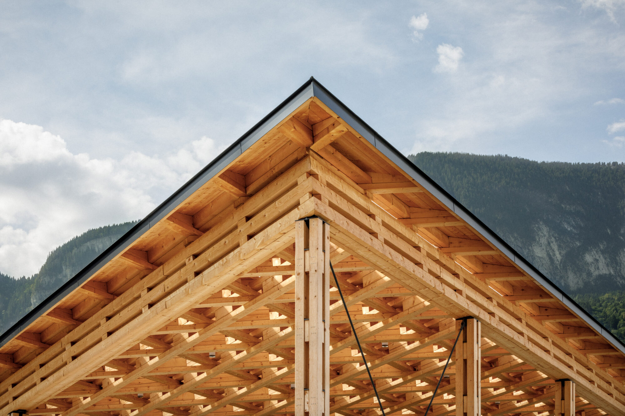 ARCHIPLEIN_SCIONZER_©11h45-HD-7