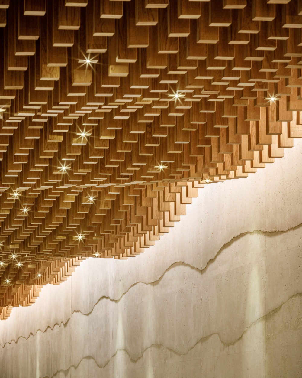 BPM_PAVIE_MACQUIE_SITE_©11h45-6