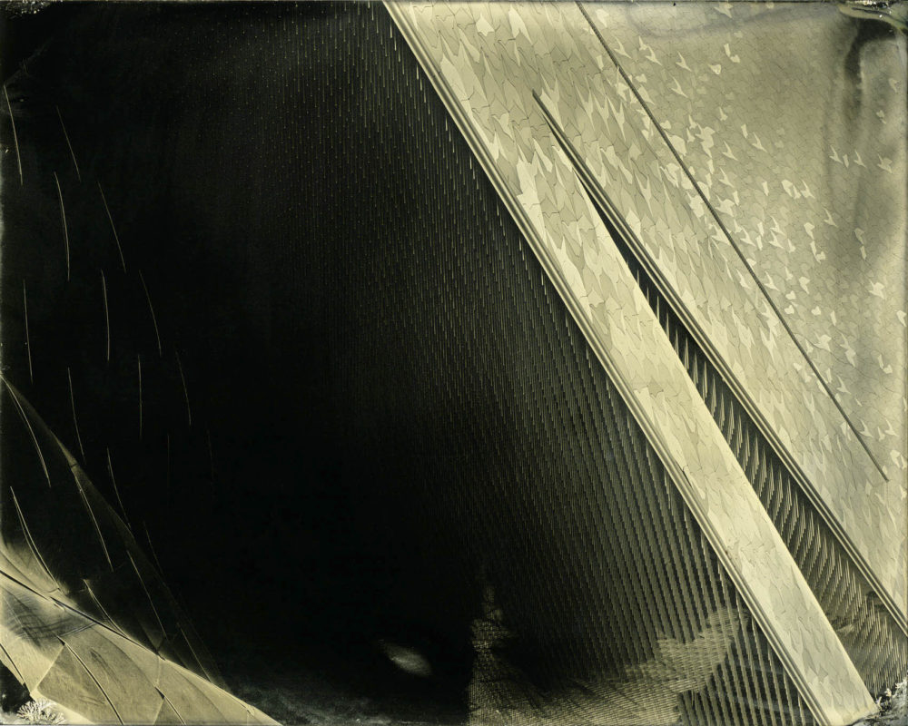 jean nouvel, philharmonie, collodion humide