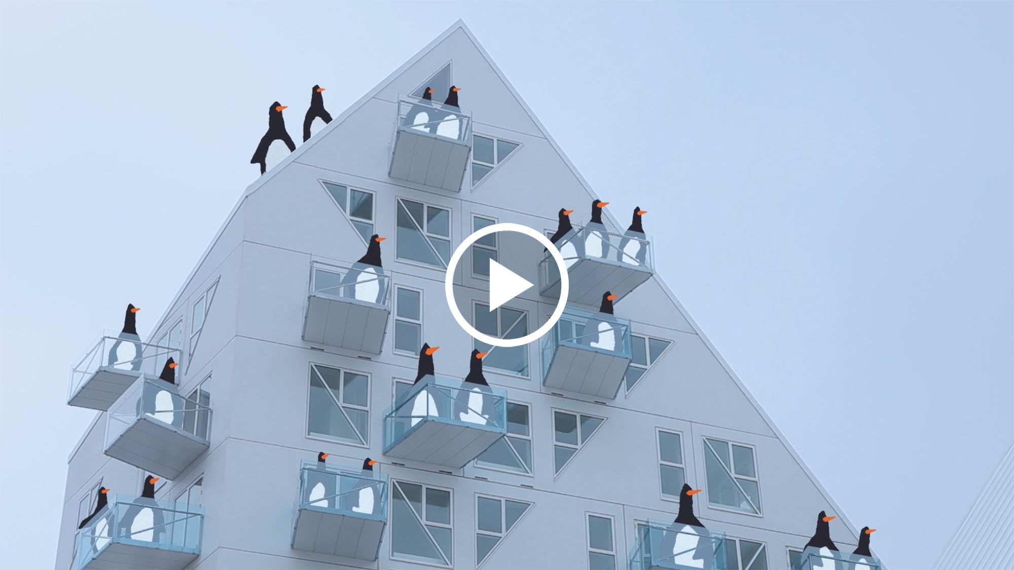 Julien de Smedt, Cebra, (…) // The Prophet
