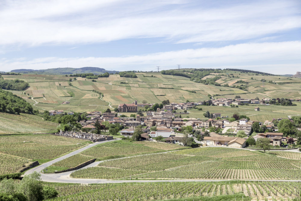 11h45-photographie-architecture-fayolle-pilon-chais-jeandeau-2