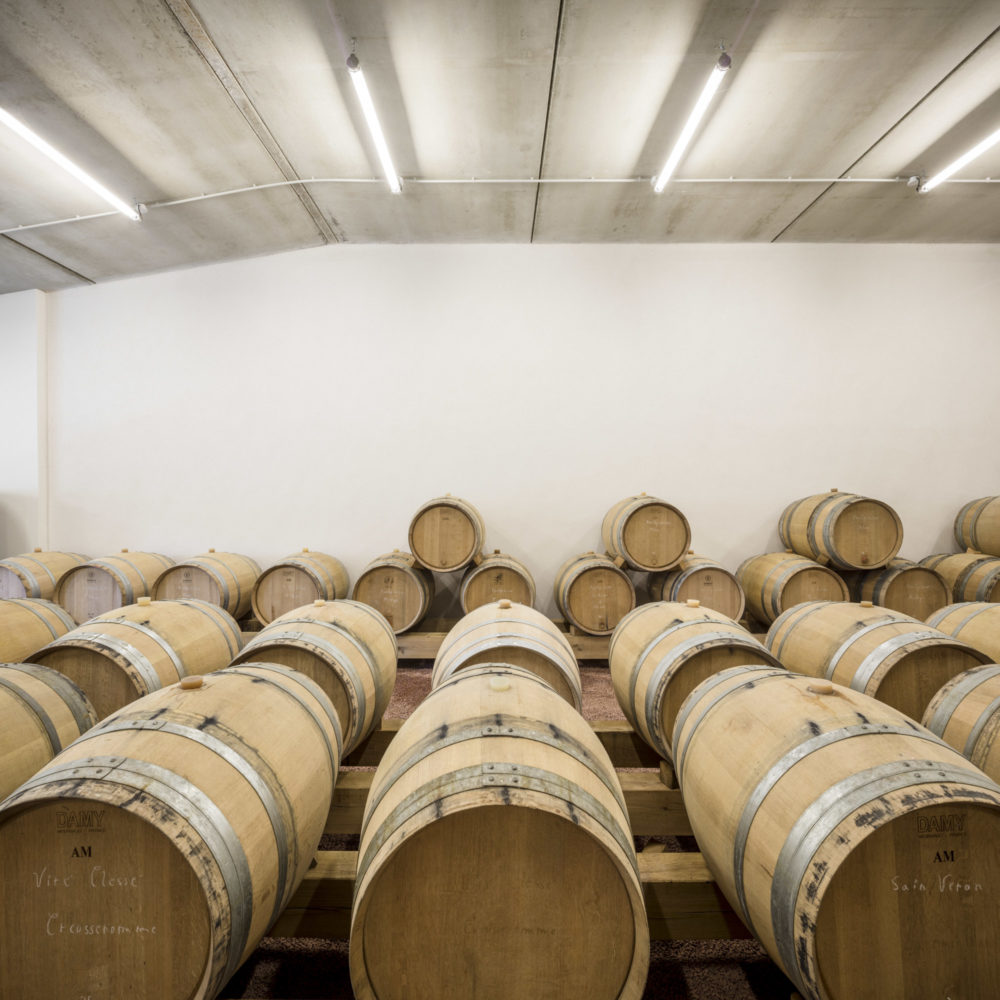 11h45-photographie-architecture-fayolle-pilon-chais-jeandeau-36