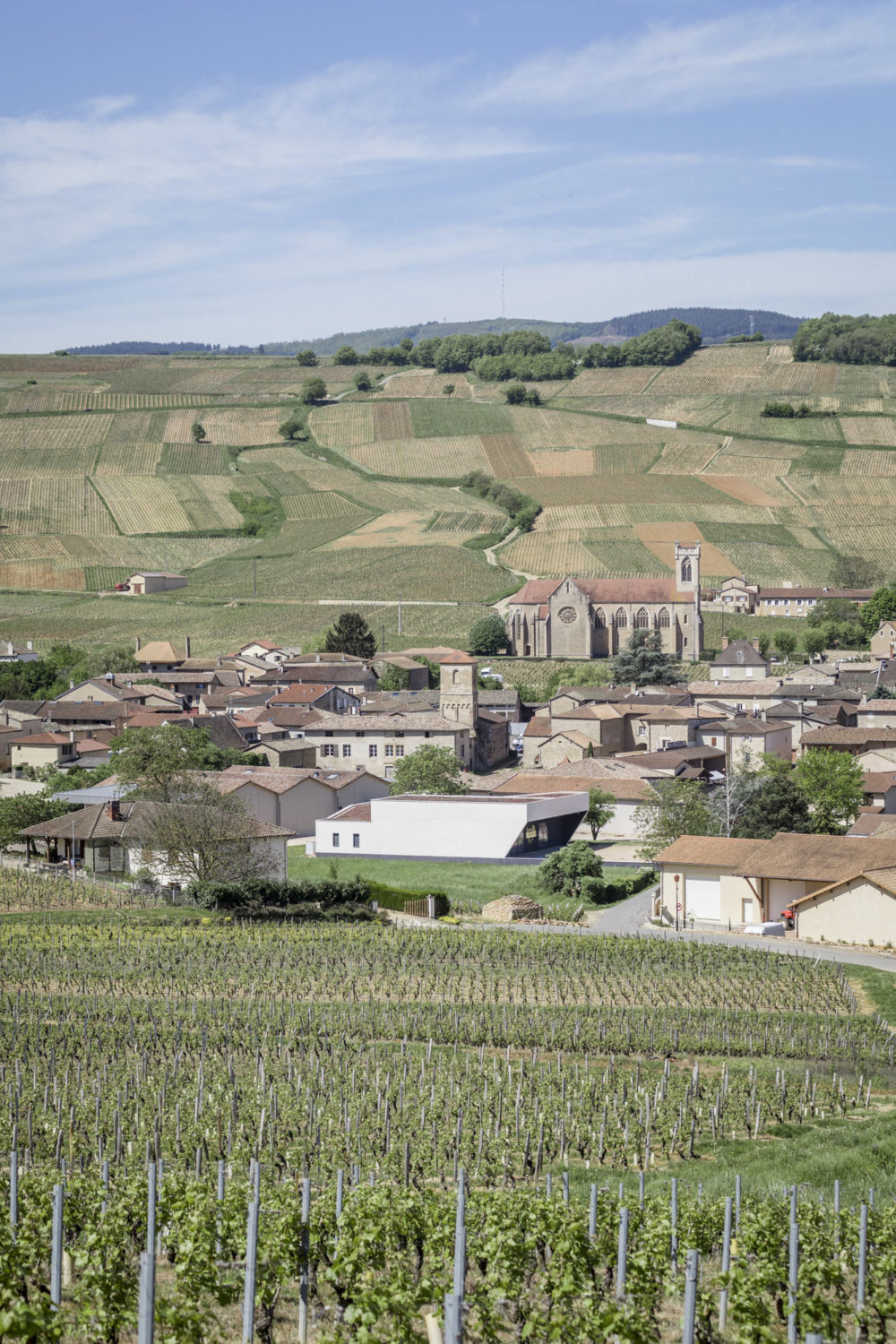 11h45-photographie-architecture-fayolle-pilon-chais-jeandeau-5