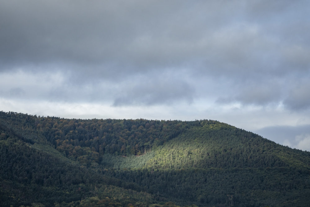 11h45-photographie-architecture-reiulf-ramstad-carrières-15