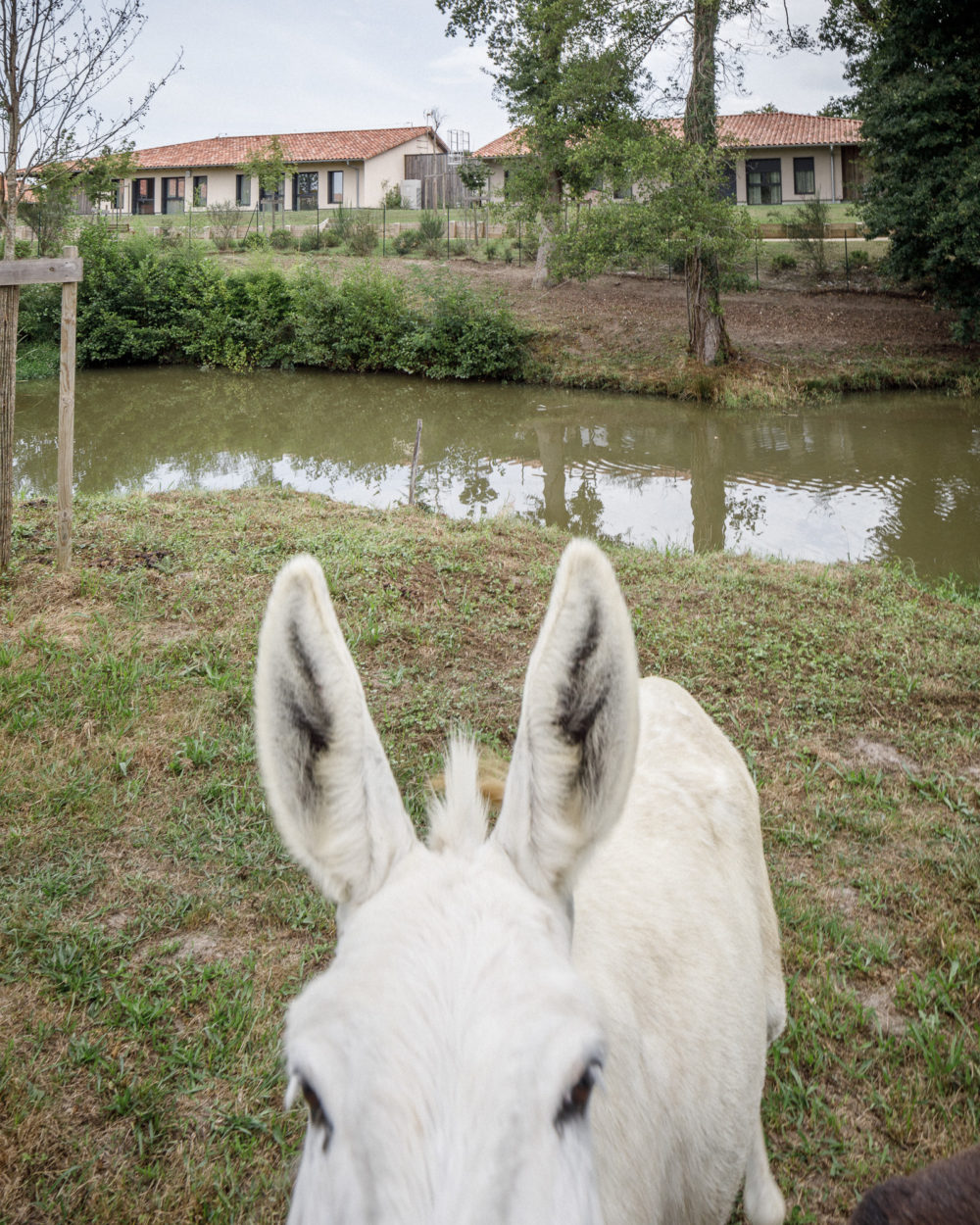 11h45-nord-architects-village-alzheimer-photographe-architecture-14