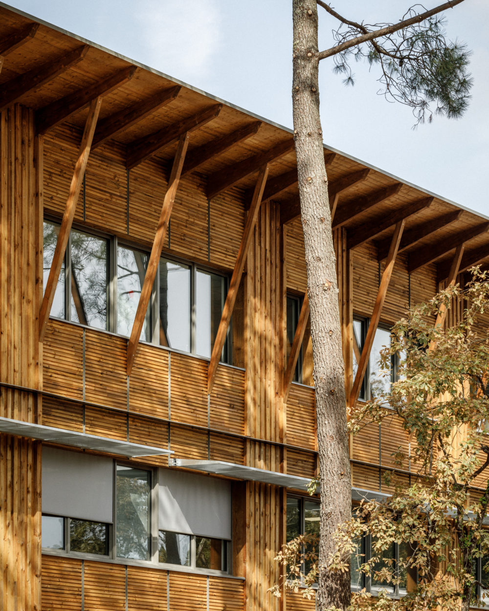 BPM_COLLEGE_PIAN_SITE_©11h45-4