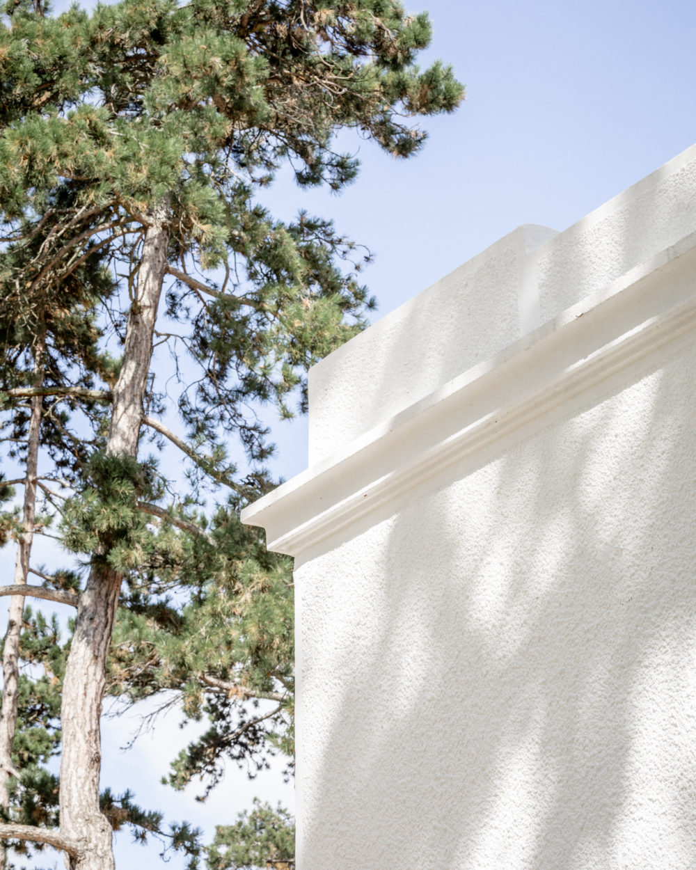 ACONCEPT_CIRAD_SITE_©11h45-2