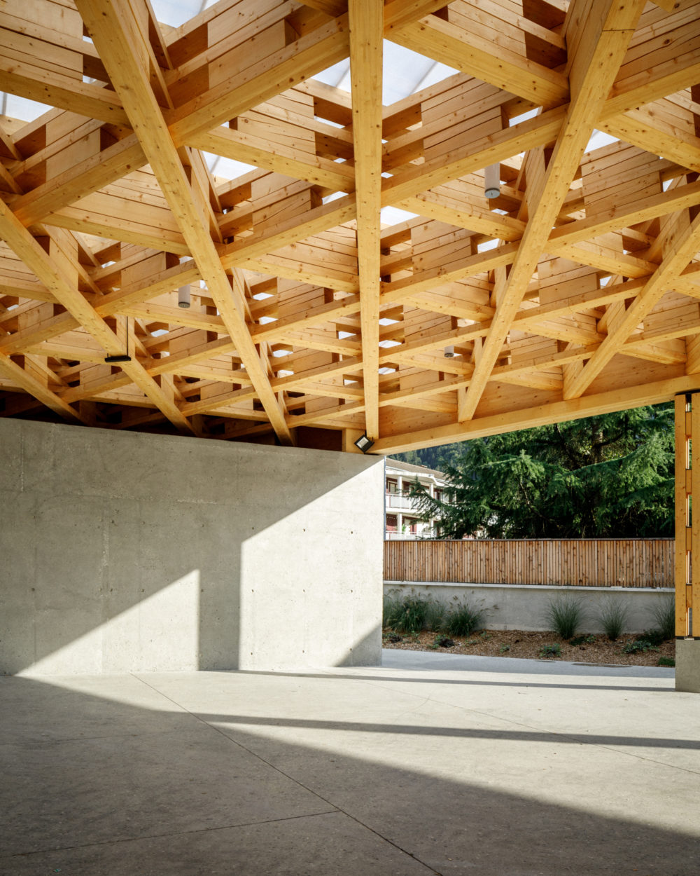 ARCHIPLEIN_SCIONZER_SITE_©11h45-2