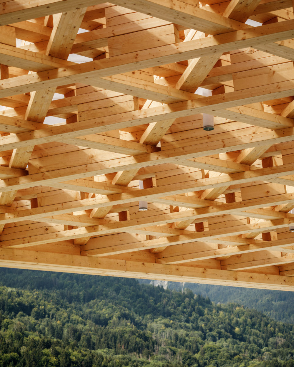 ARCHIPLEIN_SCIONZER_SITE_©11h45-4