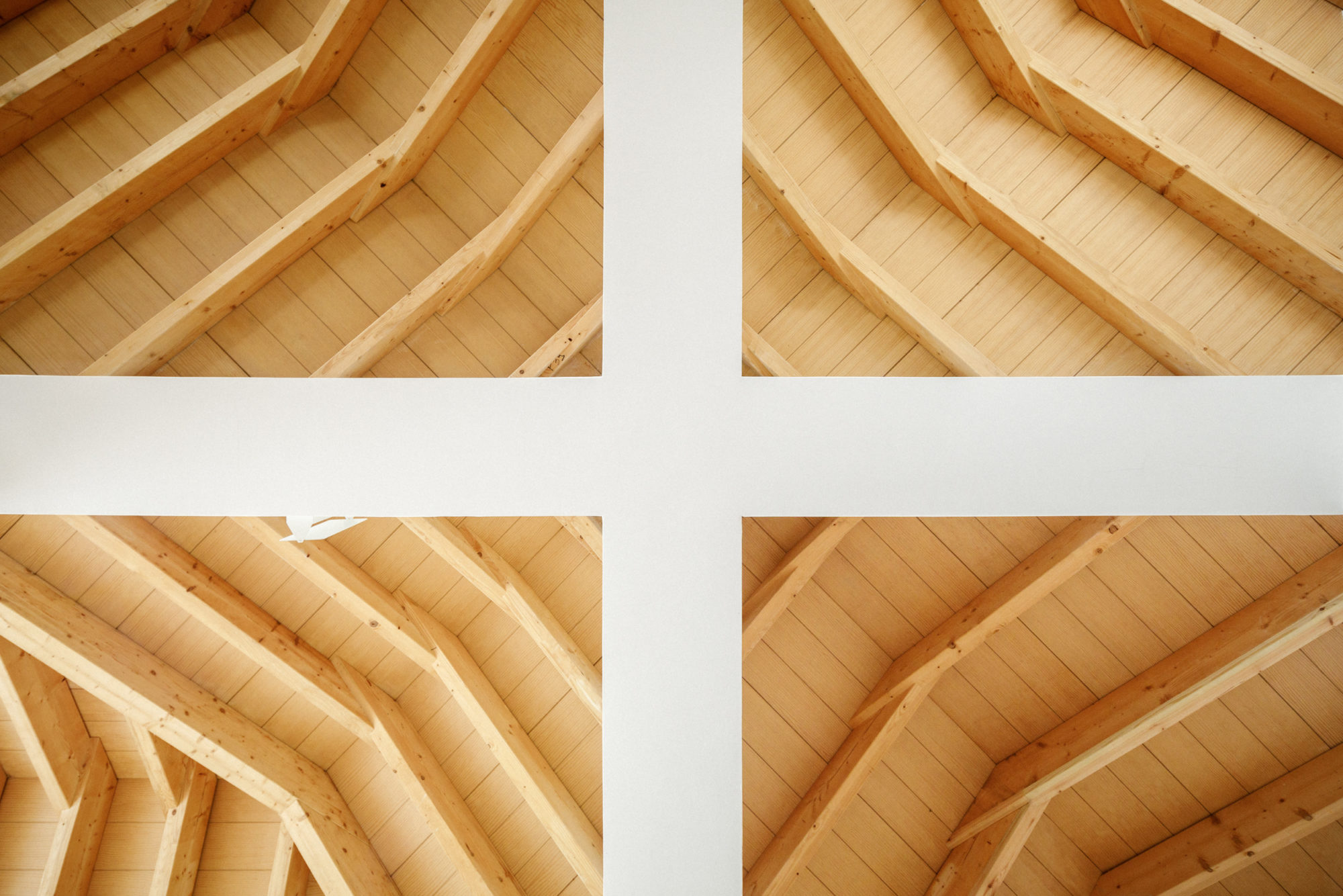 JC_QUINTON_MARIANI_SITE_©11h45-6