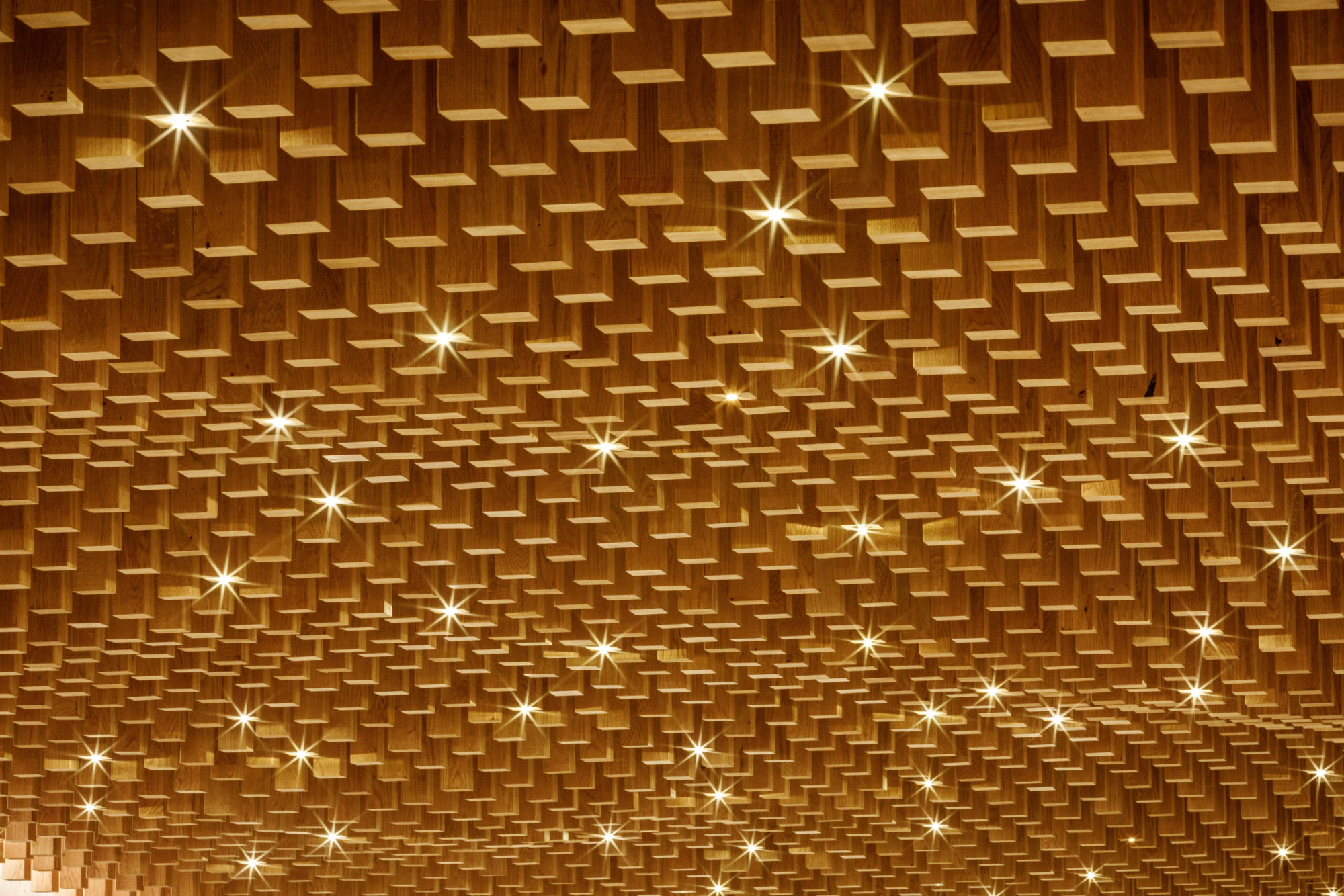 BPM_PAVIE_MACQUIN_SITE_©11h45-8