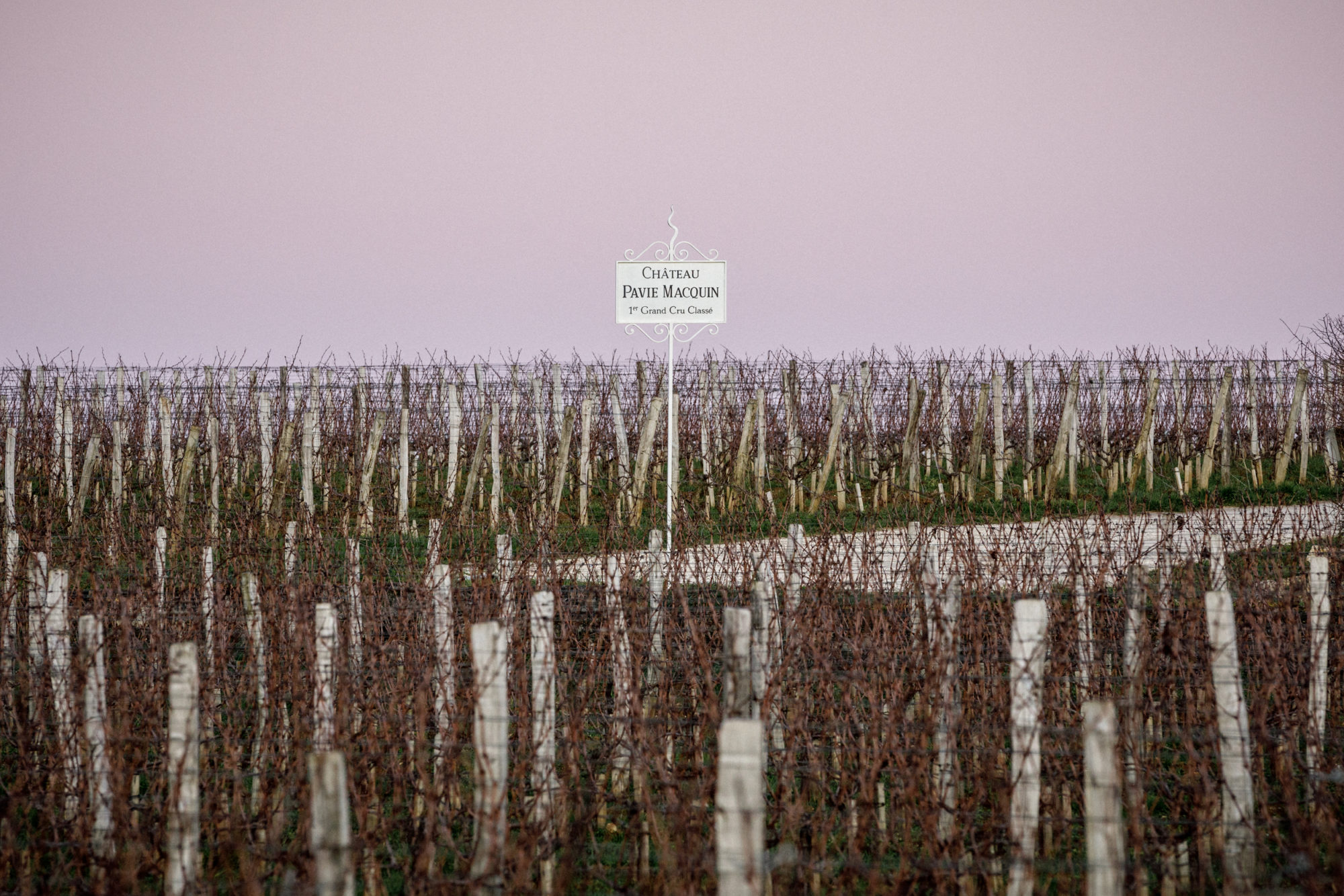 BPM_PAVIE_MACQUIN_SITE_©11h45-9