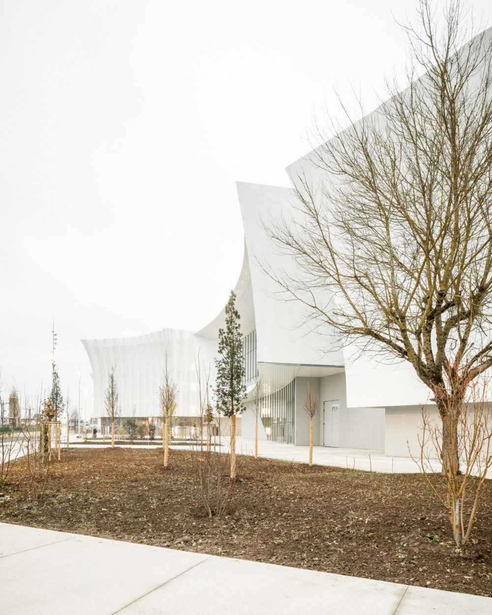 CHAIX_MOREL_COMET_SITE_©11h45-2