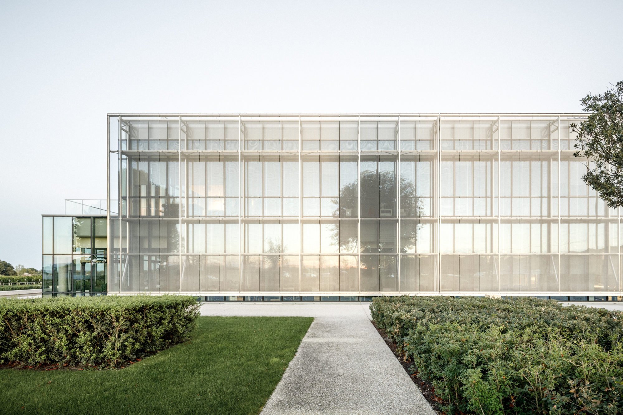 BPM_LYNCH_BAGES_SITE_©11h45-8