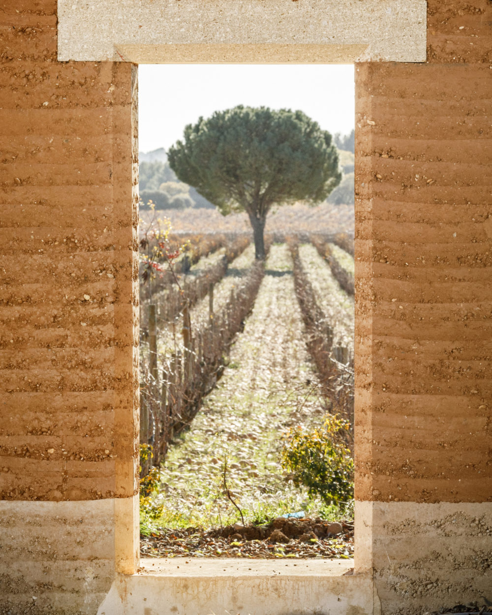 BEAUCASTEL_STUDIO MEDITERANEE_©11h45-SITE-7