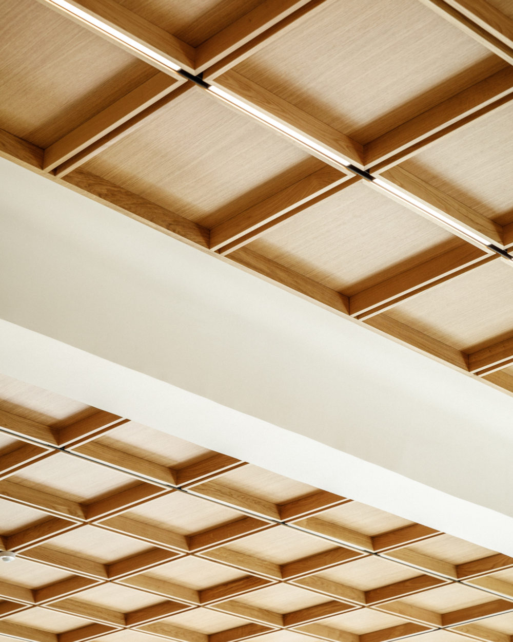 FRANKLiN_AZZI_TEMPLE_©11h45-SITE-4