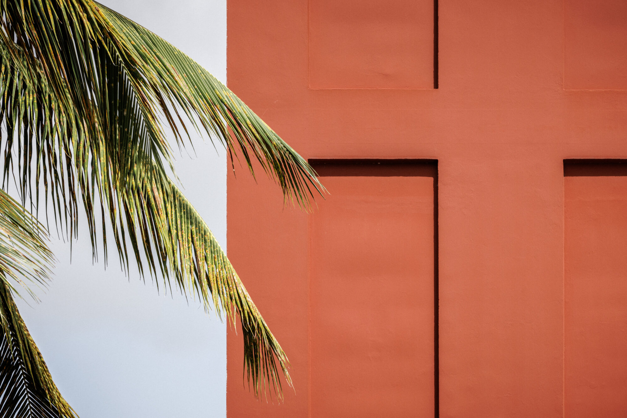 BSA_MARTINIQUE_©11h45-SITE-7