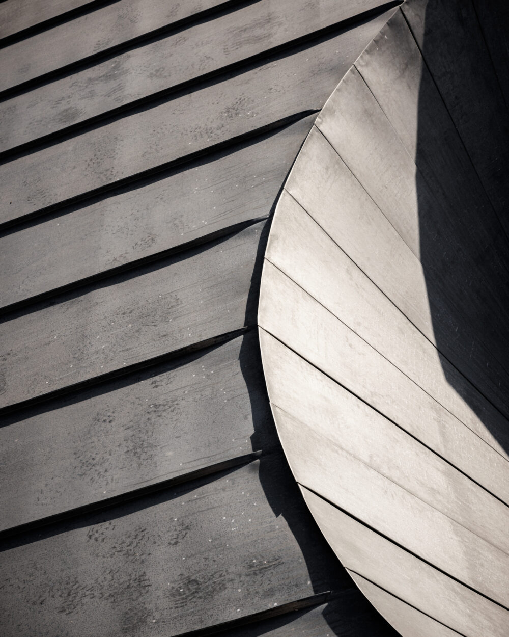 STUDIO_PIA_ERSA_©11h45-SITE-7