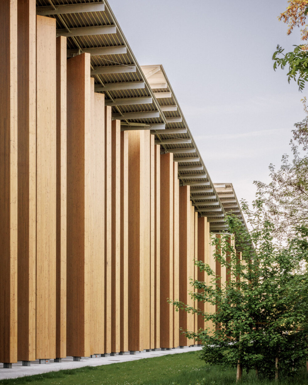 KUMA_PEX_©11h45-BD-9