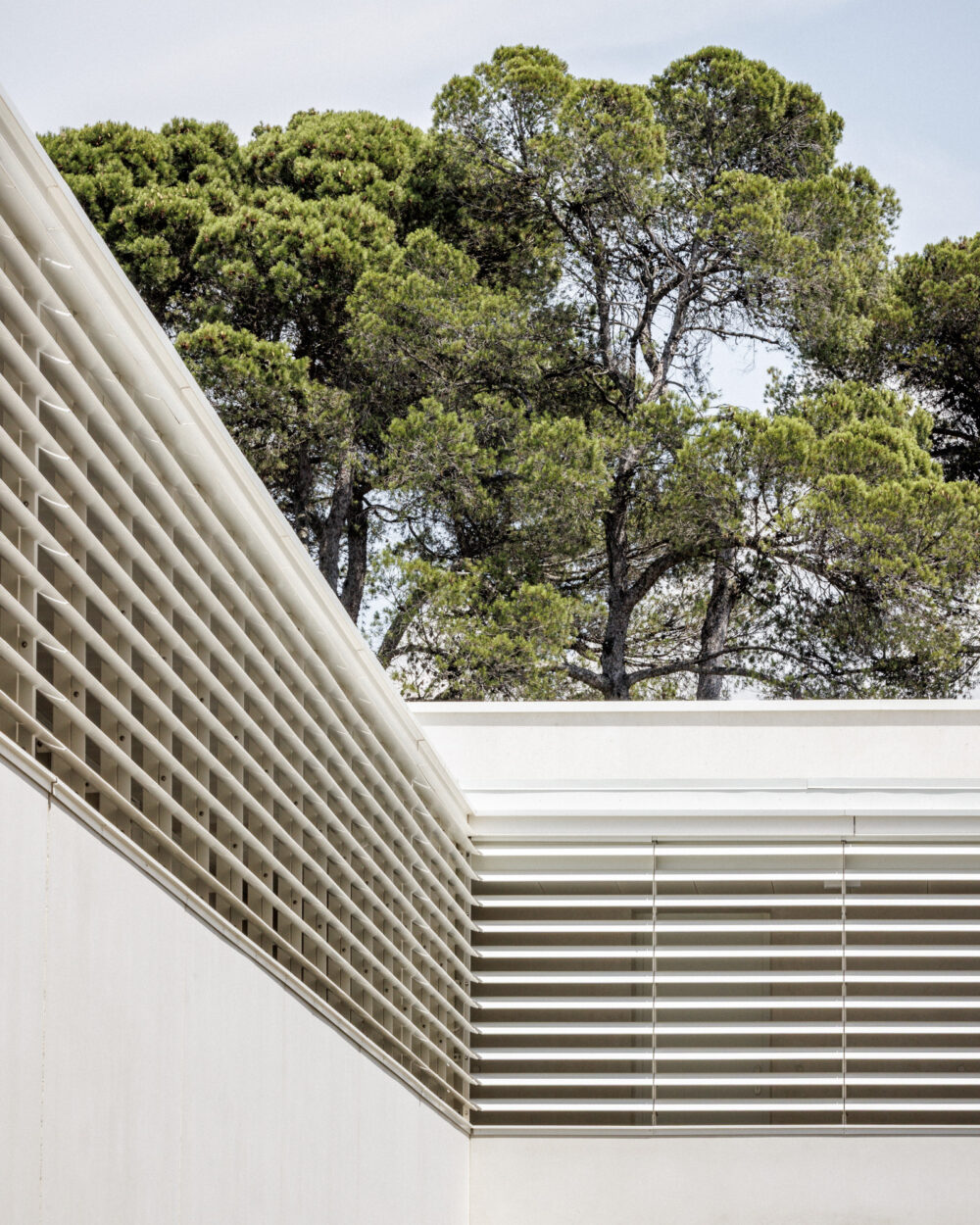 ATELIER_NEBOUT_COLLEGE_ALAIN_CARCASSONNE_©11h45-BD-16