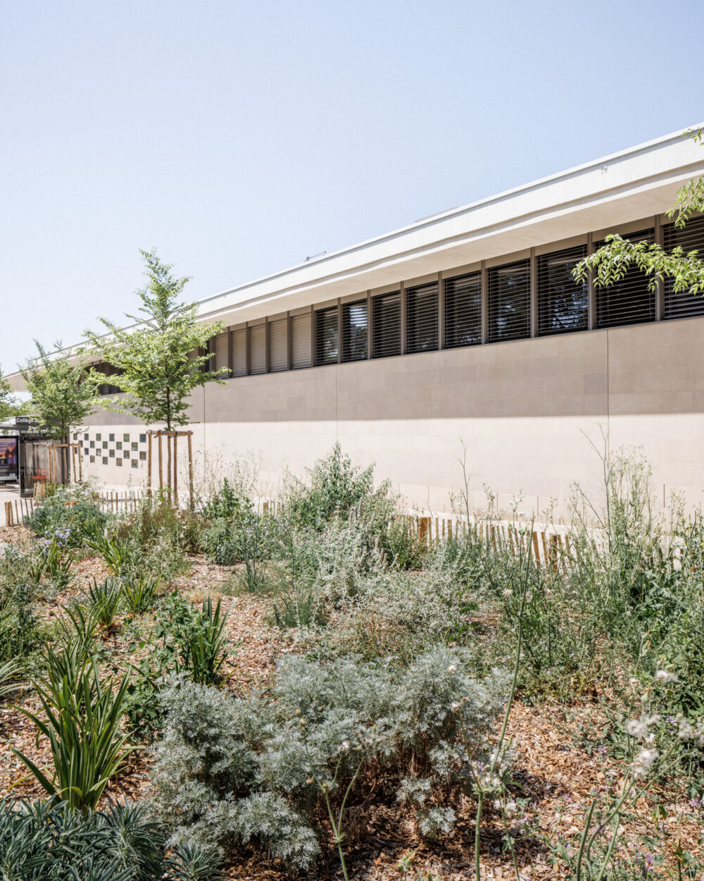 ATELIER_NEBOUT_COLLEGE_ALAIN_CARCASSONNE_©11h45-BD-3