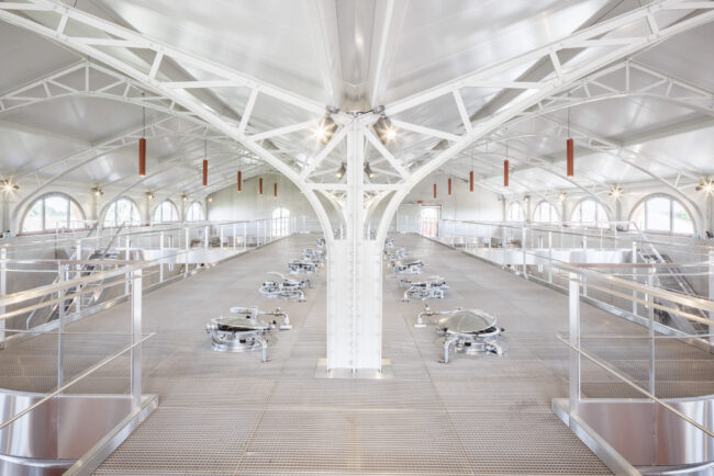 BPM_HENNESSY_©11h45-BD-20