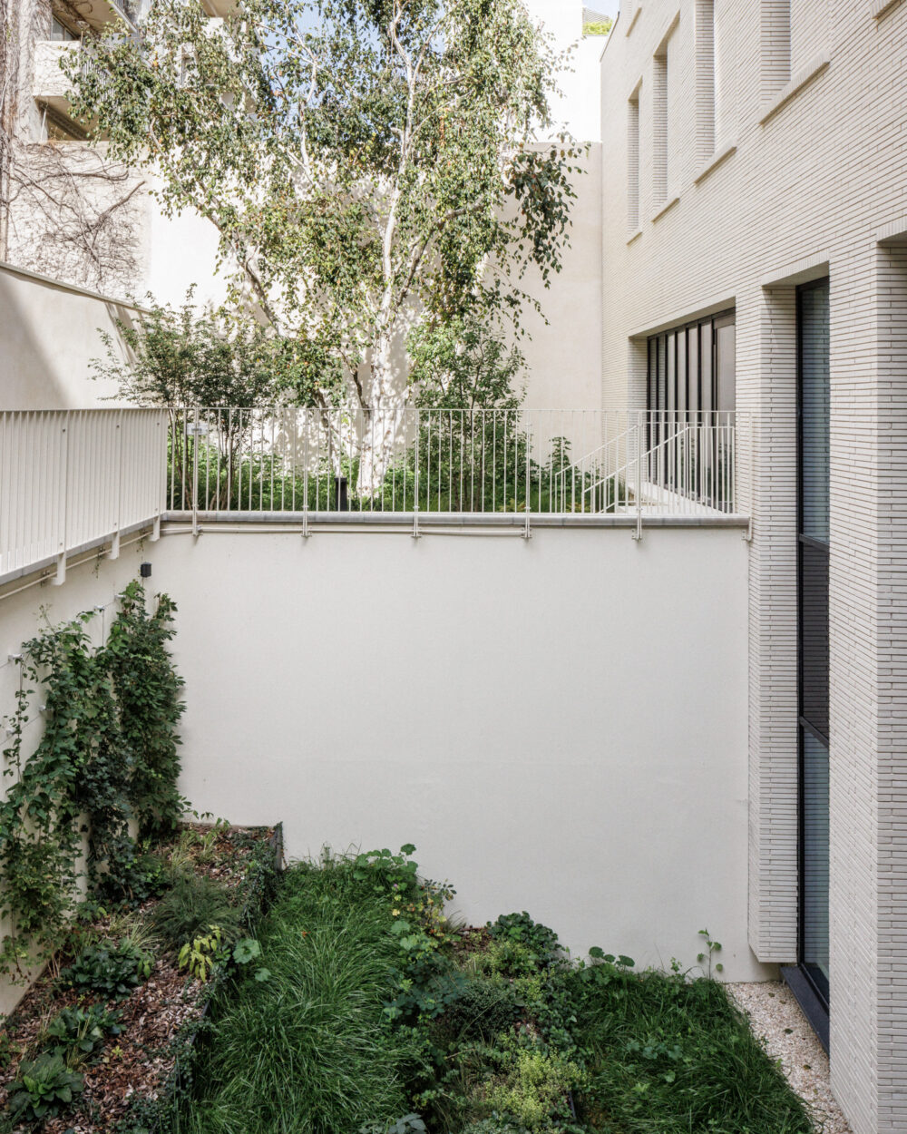 CALQ_CHEMIN_VERT_©11h45-BD-22