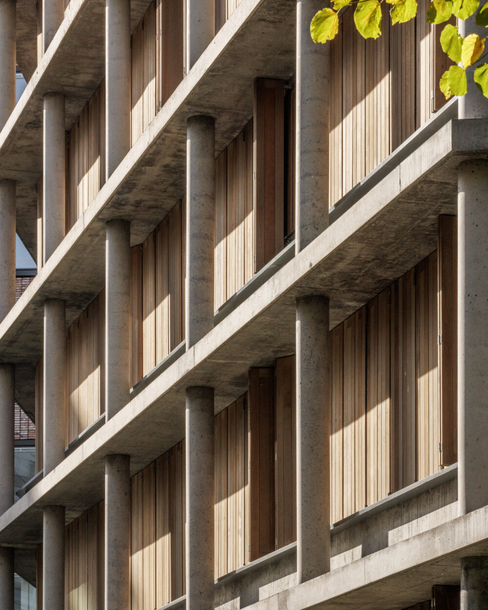 NICOLAS_HUGOO_ZAC_BOURGET_©11h45-BD-21