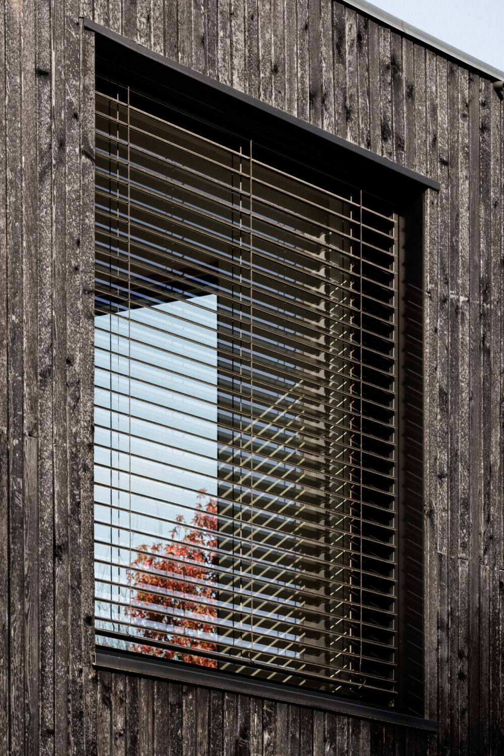 DENIS_PERRET_MAISON_GAILLARD_©11h45-BD-3